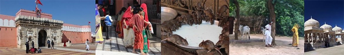 Excursion to Karni Mata Temple